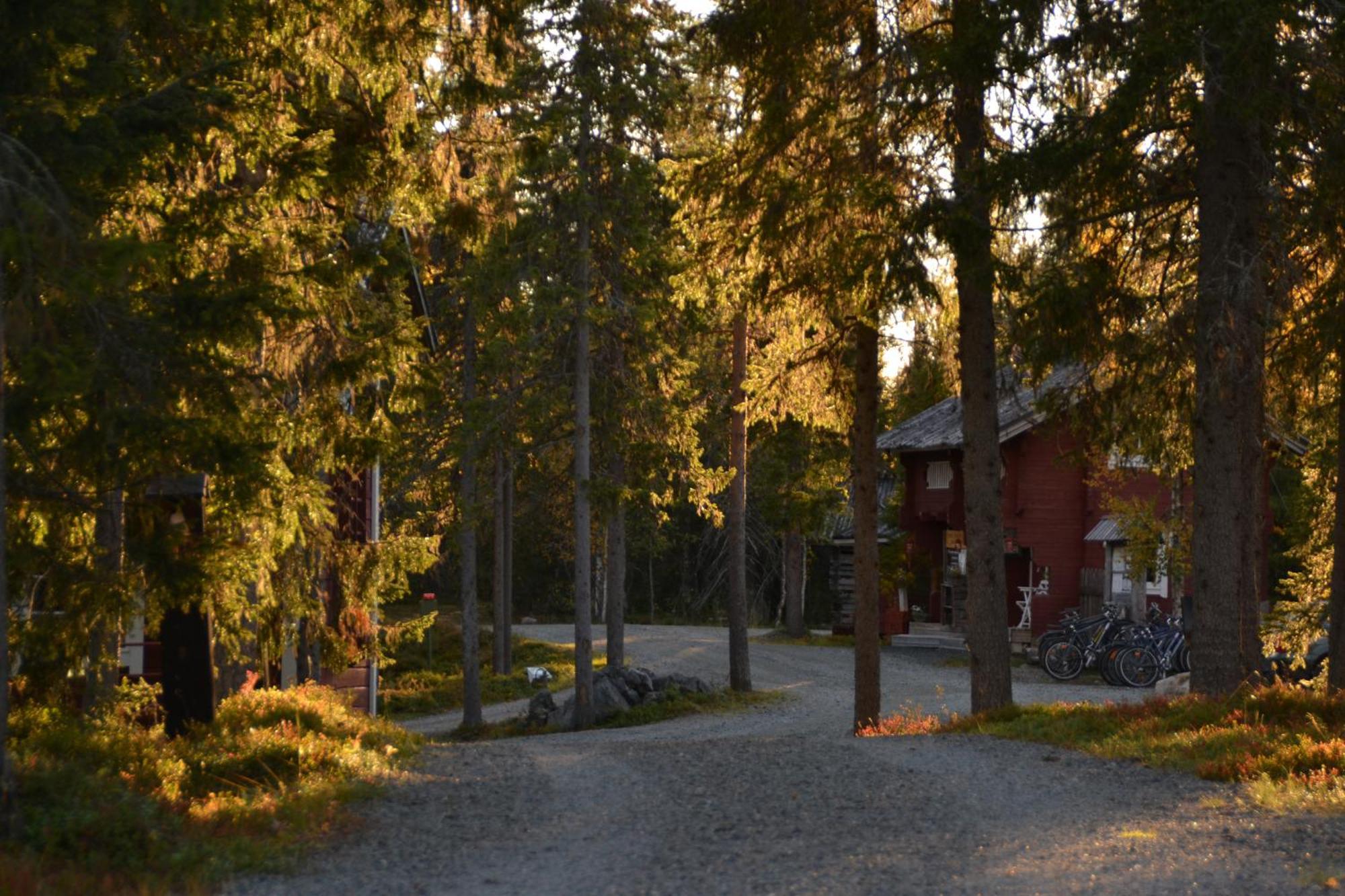 Wilderness Hotel Papin Talo روكا المظهر الخارجي الصورة